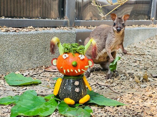 壽山動物園X家樂福 南瓜料理東西雙味大對決