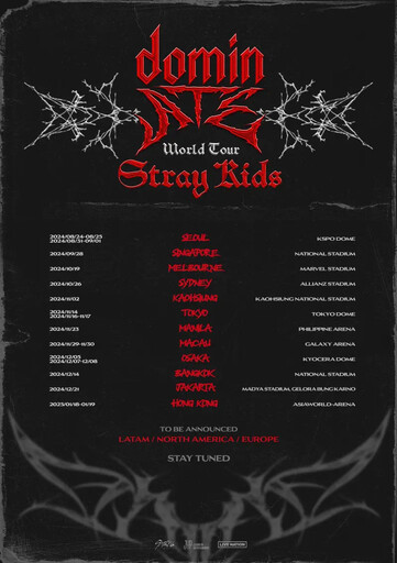宣布來台！Stray Kids 11月2日高雄開唱