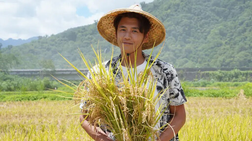 隔15年重回外景節目 阿布竟秒慘被排球砸臉