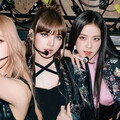 翁馨儀夫妻抽BLACKPINK門票 卡被刷70萬