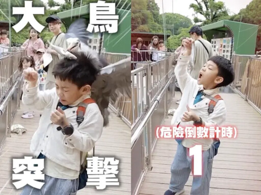 二伯秒問4字太狠 蔡阿嘎7歲兒遭攻擊畫面曝