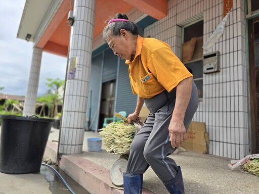 《瓜田冠軍的誕生》 實境綜藝節目 掀起花蓮農村樂活趣