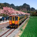 過年走春遊好康報你知 谷關泡湯賞勝景八卦山自行車騎遊、松柏嶺品茗