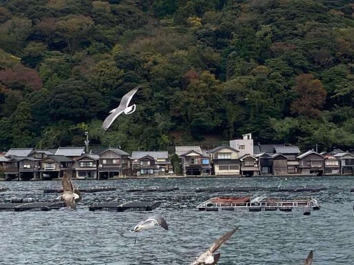 副刊／海之京都