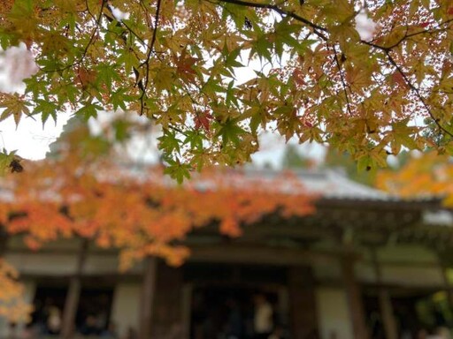 副刊／大原三千院，寂光院