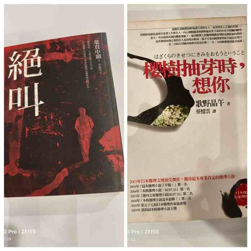 副刊/大詐騙時代——防不勝防、逃無可逃(中)