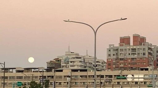 副刊/彷若夢境的一場病