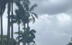 副刊/淺論大學多元入學–從兩個跌落神壇的學霸談起(上)