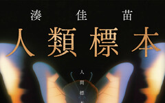 副刊/讀湊佳苗《人類標本》:標本已死,蝴蝶翅膀上的色彩仍隨光流轉