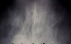 雲門舞集《關不掉的耳朵》 聲音化為舞者 以聽覺開啟感官新境