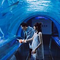 詹懷雲和江齊淚崩求永遠，大喊「好想和你有以後！」