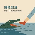 《鱷魚效應》是什麼？放手，才是真正的智慧！別讓錯誤越陷越深