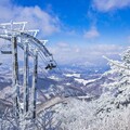 2023冬日驚喜！探索韓國的雪域仙境與美食樂章