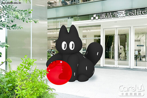 DREAM PLAZA開幕倒數 誠品480迎韓國人氣貓