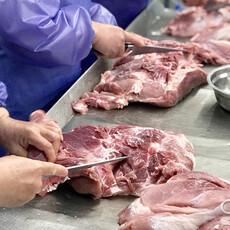 非洲豬瘟禁宰令解除 傳統市場11/8恢復銷售