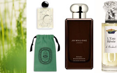 公認好聞必入手的「綠意中性香」！Jo Malone London檜木與雪松芳醇香水、Diptyque睡蓮粼波淡香精都會讓人一聞秒放鬆