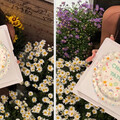 小姑送性感男神「查寧塔圖」蛋糕！孫芸芸47歲生日派對太逆齡 網讚：一家基因太犯規！