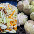 Threads爆紅話題：全世界最好吃的高麗菜在台灣！國外的硬到像在啃塑膠？