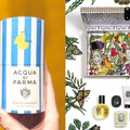 Diptyque夏季限定洗版小紅書！Acqua di Parma同步開搶 網狂喊：這組一定要收！