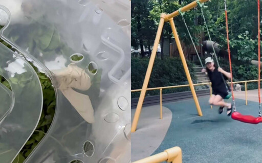 孫藝珍IG小帳曝光!甜豆喊「爸爸」+玄彬視角親拍影片 網全融化:這也太幸福了吧!