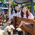 南投新景點「鹿芝谷」探索自然與動物的親子樂園 竹山警祭交通疏導新措施