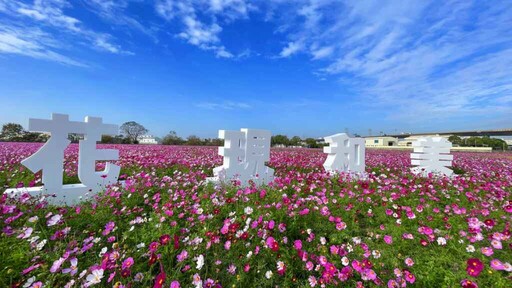 和美鎮花田景觀過年走春好去處 打卡「花現和美」抽好禮