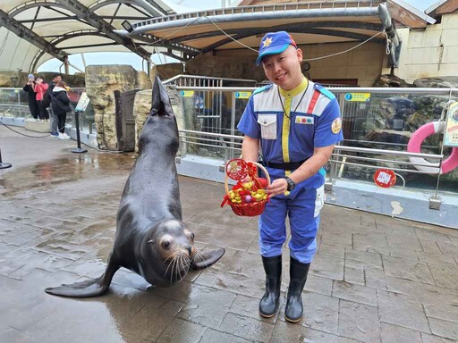 遠雄海洋公園攜手16家飯店業者 串聯4大據點 12歲以下兒童 免費暢玩海洋公園