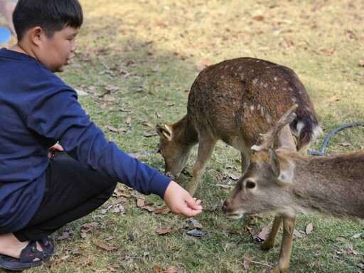 嘉義縣推薦四大熱門景區 春遊阿里山部落、鄒族文化