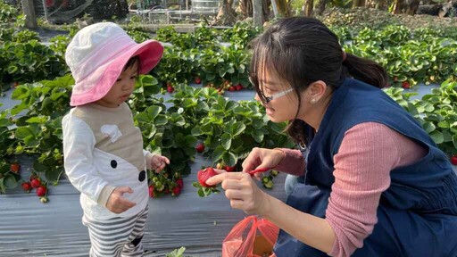 春節連假走春暢遊臺灣農村酒莊 品味在地風味微醺之旅