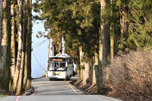 武陵櫻花花期推遲延長管制 遊客可善加使用大眾運輸