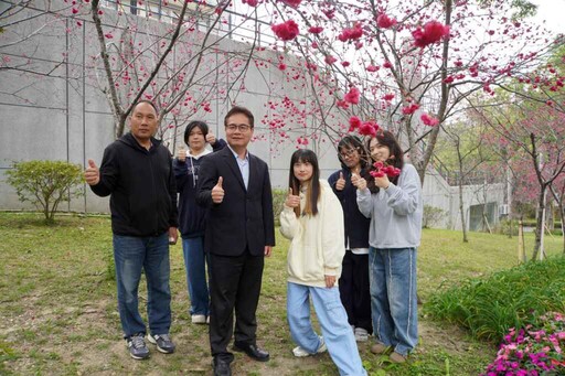 大葉大學校園千棵櫻花綻放 228連假來賞花漫步櫻花步道