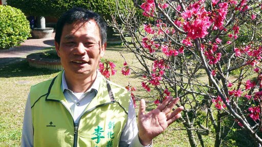 花壇虎山巖李花櫻花爭奇鬥艷 李成濟議員邀祈福踏青賞花趣