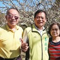 花壇虎山巖李花櫻花爭奇鬥艷 李成濟議員邀祈福踏青賞花趣