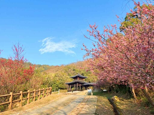 馬祖旅遊熱度攀升！藍眼淚奇景與多元活動吸引旅客探索國境之北