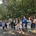 桐花綻放遊客庄 新竹祭出5條必走賞花路線