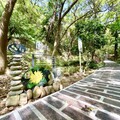 賞花正當時！大甲鐵砧山新景點 桂花泉步道登場