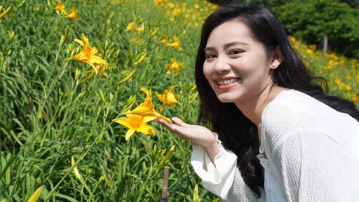 彰化花壇虎山巖金針花季 母親節假期迎接金黃花海