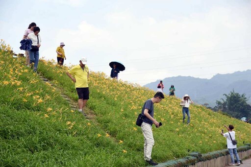 大湖限定農遊三重奏 吃桃李、賞金針、認識天敵一次到位