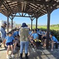 中市暑期推出「最美」生態導覽 深度探索高美濕地之美