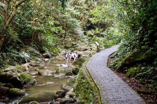 夏日避暑不用遠行 走進台北大縱走享親水沁涼之旅