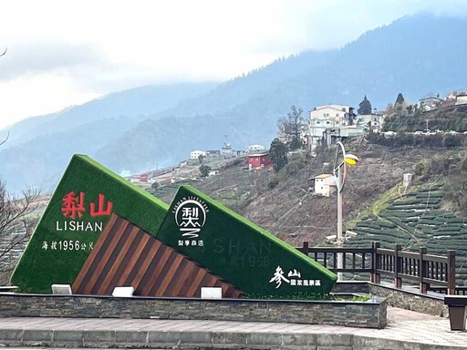 中市交通局推高海拔觀光包車 帶你到梨山吃桃品茶