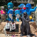 遠雄海洋公園暑假門票優惠延長賽開打 8/22怪戰集結日哥吉拉最終戰壓軸登場