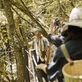 大梨山「梨享森活」遊程新登場 參山處攜手在地打造谷關梨山新玩法