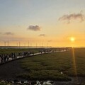 高美濕地遊客中心升級整備 力拚115年初全新亮相