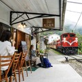 連假出遊首選！ 漫遊雲霧森林、體驗特色列車