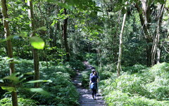 雪山坑登山步道完工啟用 打造原民文化與自然生態共融新亮點