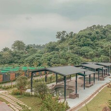 搭乘台南台灣好行「梅嶺線」暢遊玉井、楠西與龜丹