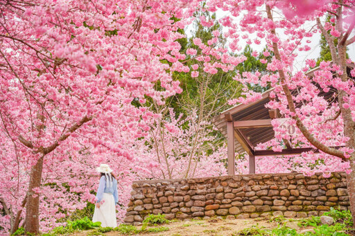 亮點台中再添光彩 秋冬走訪山城人文與自然風光
