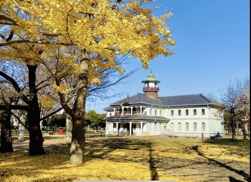 茨城秋季魅力全面綻放 新蕎麥、銀杏祭與龍神峽紅葉打造最美旅遊盛景