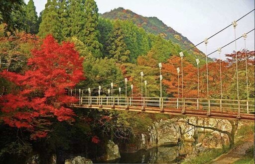 茨城秋季魅力全面綻放 新蕎麥、銀杏祭與龍神峽紅葉打造最美旅遊盛景